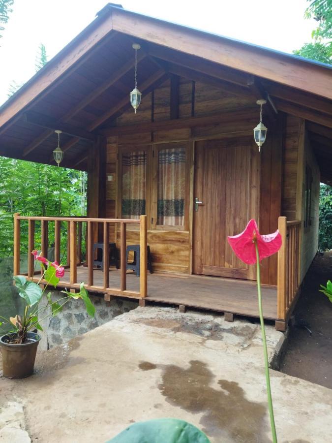 Diyaluma View Cotage Hotel Koslanda Kültér fotó