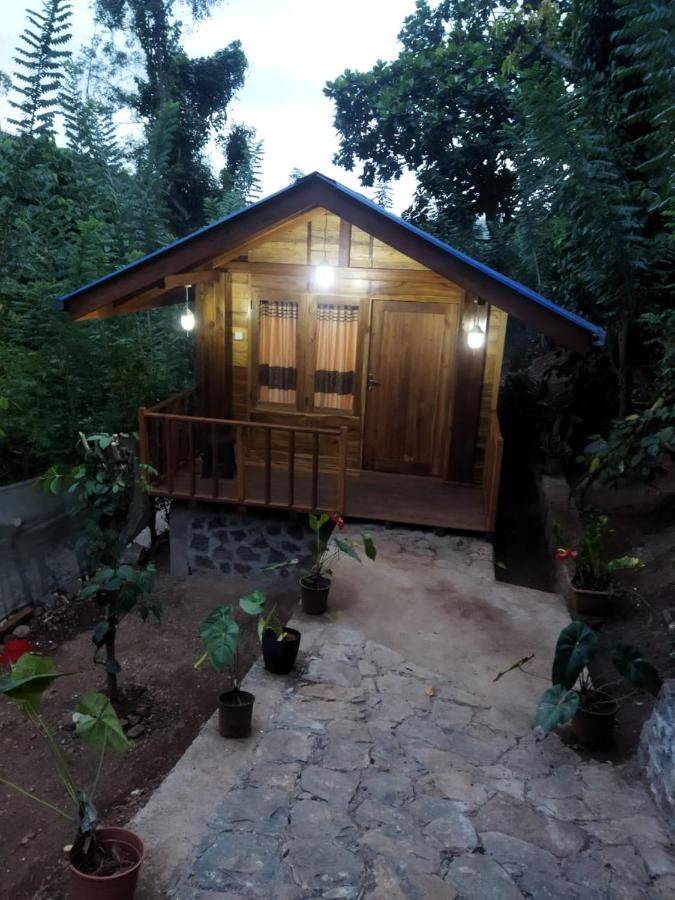 Diyaluma View Cotage Hotel Koslanda Kültér fotó