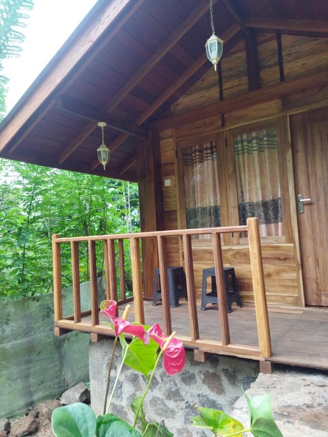 Diyaluma View Cotage Hotel Koslanda Kültér fotó