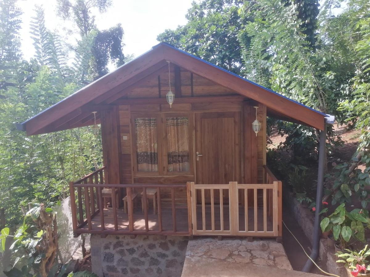 Diyaluma View Cotage Hotel Koslanda Kültér fotó