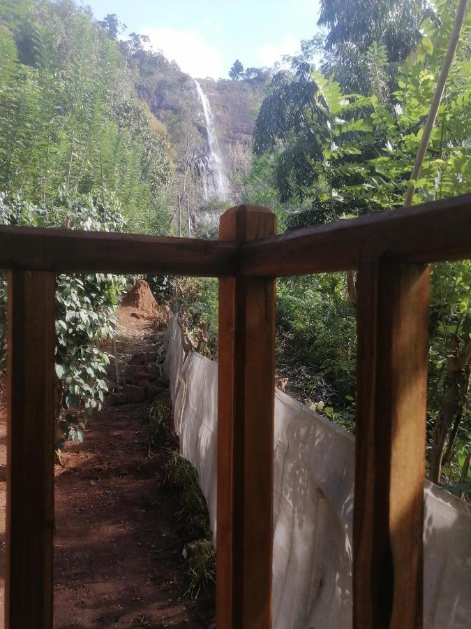 Diyaluma View Cotage Hotel Koslanda Kültér fotó
